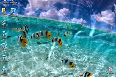 Motion Wallpapers For Mobile   Wallpapers HD Fine