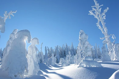 Winter Computer Wallpapers, Desktop Backgrounds