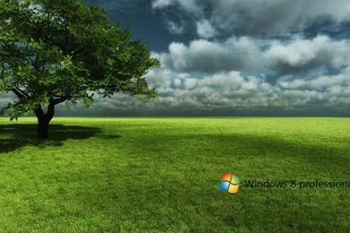 Window 8 Free HD Desktop Wallpapers ~ Tutorials All  Photoshop ...