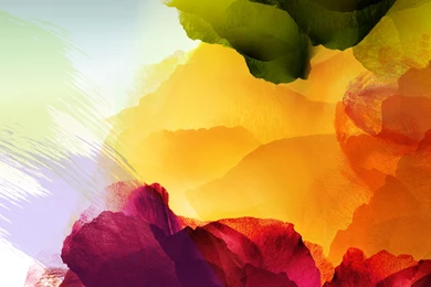 Download Lg Phone Wallpapers Widescreen