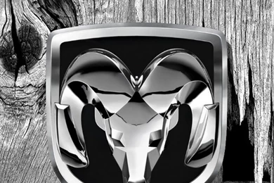 Free User Img1586 Cell Phone Wallpapers