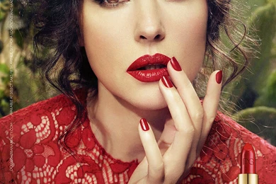 15 Quality Monica Bellucci Wallpapers, Celebrity