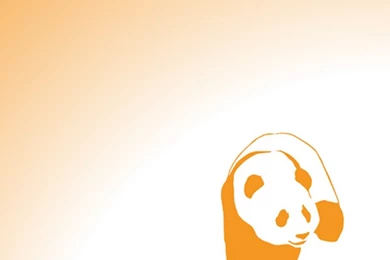 Enjoi iPhone Wallpapers