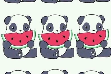 Super Cute Watermelon Eating Panda Wallpapers