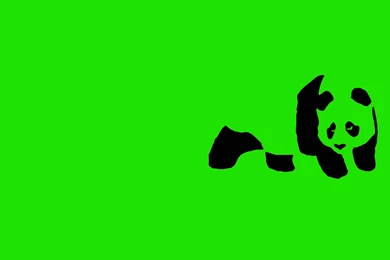 Enjoi Panda Bears Wallpapers (