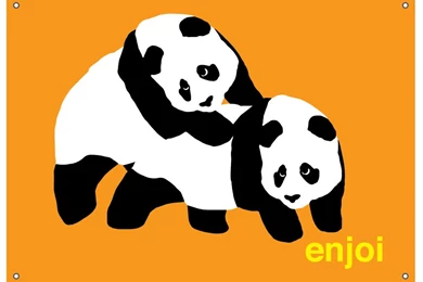 Wallpapers Skate Enjoi Skateboards Piggyback Panda Banner X ...