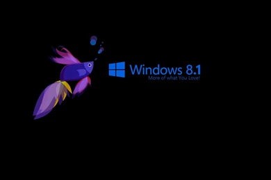 Windows 8.1 Desktop Wallpapers – 1920×1080 High Definition ...