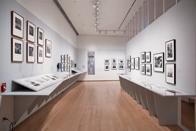 Wallpapers Libs: Hd Wallpapers: Free Icp Wallpapers Downloads