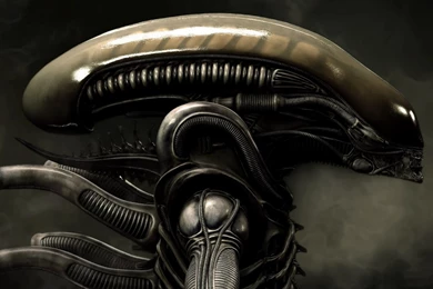 Xenomorph Wallpapers