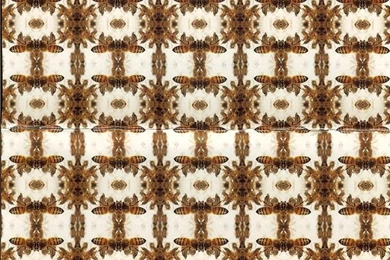 Reproduction Victorian Wallpapers   Wallpapers HD Fine