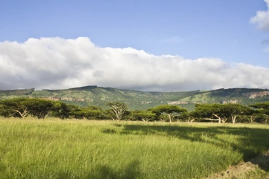 Original, Landscape, South, African, Scenery, Nature, Backgrounds ...