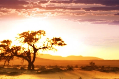 African LandscapeSamsung Wallpapers Download