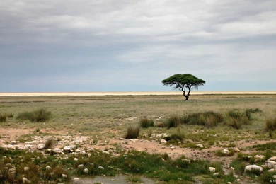 Etosha National Park