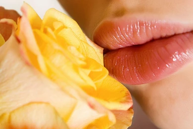 Pretty Girl Kissing Flower HD Wallpapers   StylishHDWallpapers