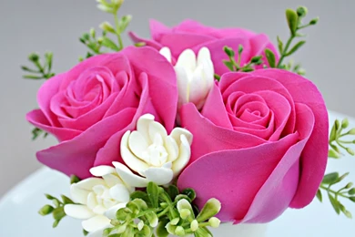 HD Flowers QDW   Quality Desktop Wallpapers