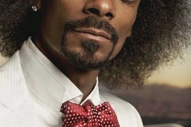 Goatee styles black men cool beard styles for men 2015 HD ...
