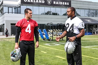 Michael Crabtree Quick Hits