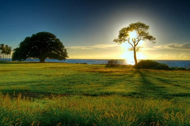 The Morning Sun HD Desktop Wallpapers 1366x768 Hd Wallpapers ...