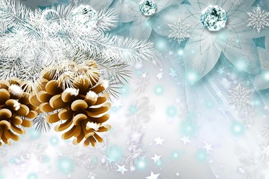 A Season To Celebrate >> HD Wallpaper, Get It Now!