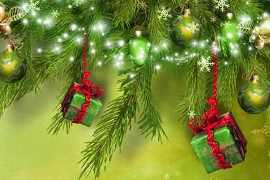 Celebrate In Green   HD Wallpapers