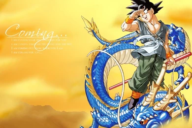 Download Wallpapers, Download 2560x1600 Son Goku Dragon Ball Z ...