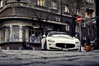 Best Cars Wallpaper: Maserati Images 849751 Cars