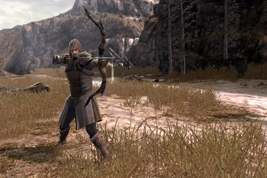 Lord Of The Rings: War In The North   FAILMID