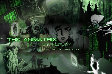 The Animatrix Wallpapers HD Download