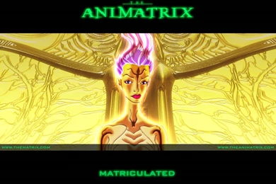 Animatrix Wallpaper,