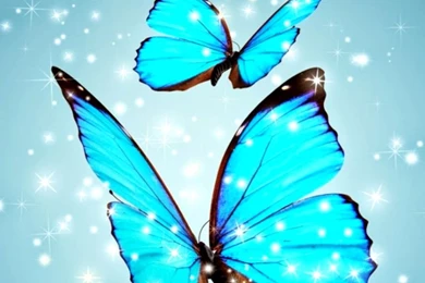 Iphone 6 Wallpapers Free Download