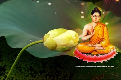 Buddha Images Download   HD Wallpapers And Pictures