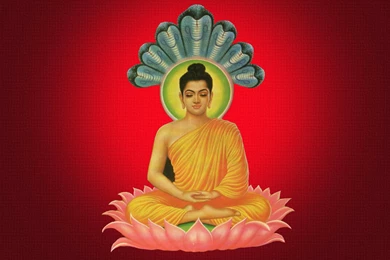 Lord Buddha Desktop HD Wallpapers