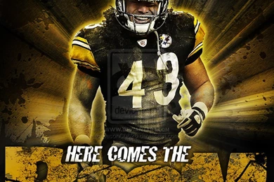 Troy Polamalu Wallpapers   Wallpapers Zone