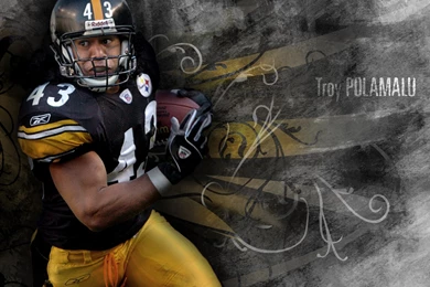 Download The Troy Polamalu Wallpaper, Troy Polamalu iPhone ...