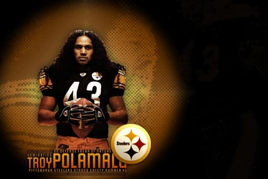 Troy Polamalu