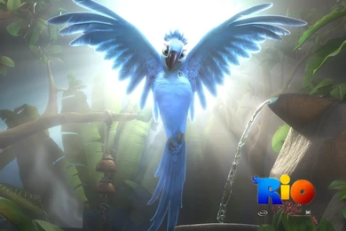 Man King Conan Movie Wallpapers 30076   Movie Wallpapers ...