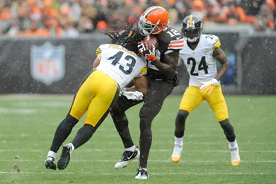 Troy Polamalu Images