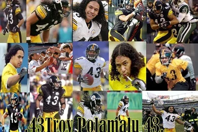 Free User Img1621 Cell Phone Wallpapers