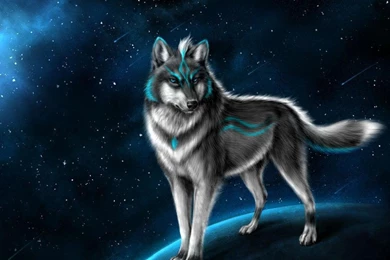 Wolf Wallpapers Ringtone   Android Apps On Google Play