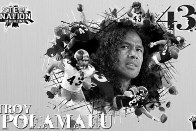 Troy Polamalu Wallpapers