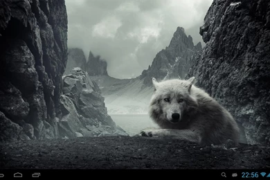 Wolves Live Wallpapers   Android Apps On Google Play