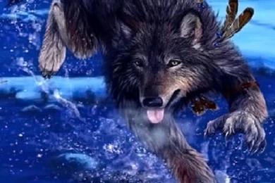 Native & Wolf Live Wallpapers (287.00 Kb)   Latest Version For Free ...