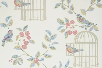 ILiv Songbird Wallpapers Eau De Nil
