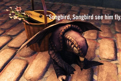 Songbird... By SpicyMariachi On DeviantArt