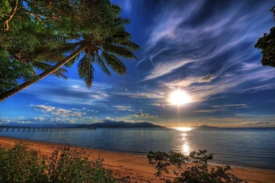 Beach Ocean Palm Ideas My Designs