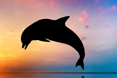 Free Android Wallpapers HD   CuteWallpaper.org