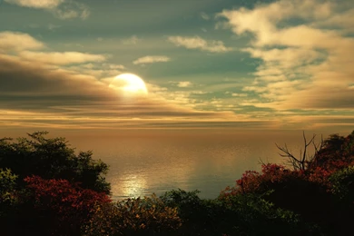 Nature Wallpapers   Sky, Black, Darkolivegreen