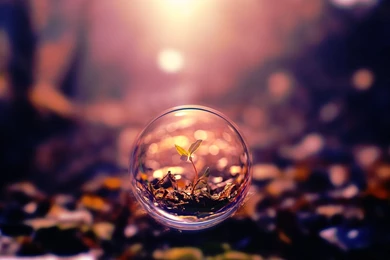 Photography HD Photo Wallpapers 5016   Amazing Wallpaperz