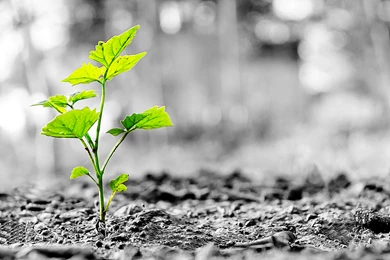 HD Wallpapers Photos Download Free Wallpapers In HD For Your ...