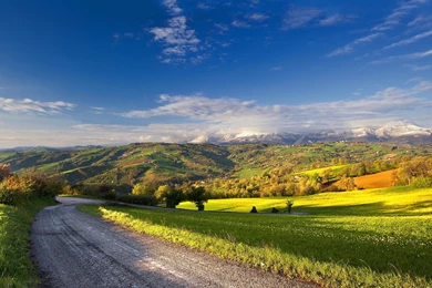 1600x1200 Summer Landscape Road Hd Wallpapers